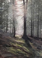 Ethereal Woods by Rick Osann